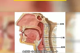 #鼻咽癌 #倪晓光  #健康科普视频封面