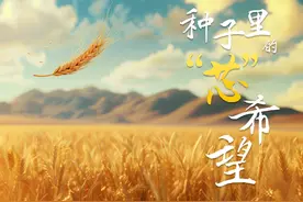 塞上新语丨种子里的“芯”希望 #宁夏卫视  #塞上新语视频封面