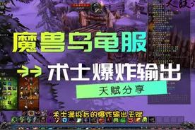 魔兽乌龟服满级术士爆炸输出天赋分享#魔兽世界 #魔兽世界怀旧服视频封面