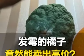 3月19日（发布），山东。女子家中橘子坏掉长出霉菌，最后在平台上成功卖出#涨见识 （来源：@selfish ）视频封面