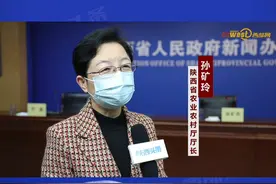V访谈丨陕西省农业农村厅厅长孙矿玲：从五方面入手 守牢不发生规模性返贫底线视频封面