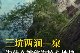 武夷山三坑两涧一窠，为什么被称为核心地块#武夷山 #武夷岩茶 #三坑两涧视频封面