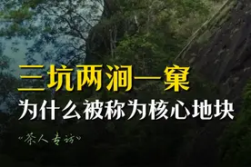 武夷山三坑两涧一窠，为什么被称为核心地块#武夷山 #武夷岩茶 #三坑两涧视频封面