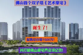 佛山首个双子塔“艺术豪宅”诞生了！还破了佛山豪宅界多项记录？视频封面