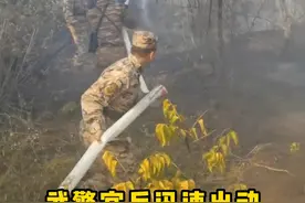 营区附近突发#火情 ，武警官兵全力扑救！#山火救援 （张宇、张平、刘俊晖）视频封面