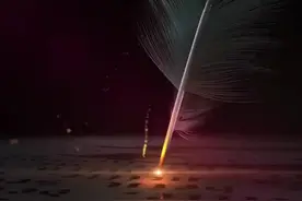 冀少冀教生物8下-人的生殖和发育视频封面