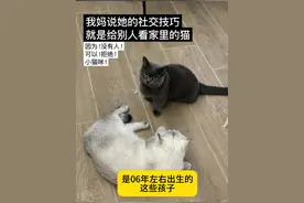 正是闯的年纪！上海阿姨56岁出国留学！这是鸡娃不成鸡自己？ 视频封面