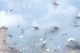 9月3日，北京，九三盛大阅兵结束，#8万只气球与8万羽和平鸽同时腾空  。
