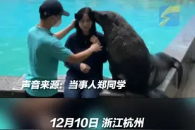 12月10日，浙江杭州。海狮配合女生拍照后瞬间扭头弹开，无情的合照机器！网友：多一秒都得加钱！视频封面