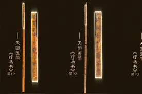 【我国2000多年前就有动物医生了】 #简牍探中华 天回医简的《疗马书》是我国发现的最早的兽医专著，书中记载了马匹专用的跌打损伤膏药及相关药材贮藏、用法和不同季节的“保质期”要求。一起来了解老祖宗的智慧！视频封面