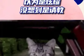 这就是我不买敞篷的原因，我受不了这尴尬！视频封面
