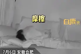 猫咪趁主人睡觉拿屁股摩擦主人脸部，主人：感觉猫很爱自己#猫 视频封面