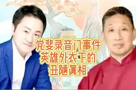 党斐录音门事件：英雄外衣下的丑陋真相 #党斐 #王天一 #柳大华视频封面