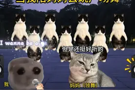 当我赔妈妈去跳广场舞 #猫meme #猫meme小剧场
