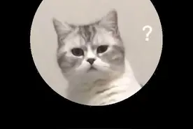 中国警察跟国外警察有什么区别？#冷知识 #省流 #省流侠视频封面
