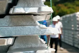 6百色市公务员典型事迹片-服务发展视频封面