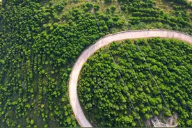 秋天的彩西路（彩石-西营）很美，你是否也去走走。彩西路山路位置：万粮峪村-拔槊泉-红岭村#济南周边游  #旅游推荐官 #济南视频封面