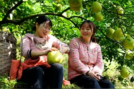 怀孕是一段很奇妙的旅程，既辛苦，也幸福！#记录农村生活 #美食视频封面