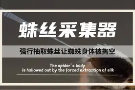 人类史上最残忍的发明--全自动蛛丝采集器，强行抽取蛛丝，让蜘蛛体验身体被掏空的感觉，蜘蛛到死都以为是自己不够努力！#蜘蛛 #蛛丝 #蛛丝采集器 #身体被掏空 #神操作视频封面