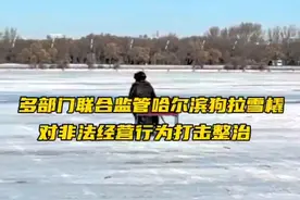 12月6日，哈尔滨，多部门联合监管松花江面狗拉雪橇，文旅局最新回应：听到网友呼声，将对非法经营行为进行打击。#哈尔滨回应呼吁取消狗拉爬犁 #网友看到警察现场处理狗拉爬犁视频封面