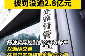 一男子操纵“安奈儿”等多只股票，被罚没逾2.8亿元视频封面
