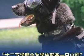 “大二下学期会发一只小狗”，女生晒警犬技术专业录取通知书 近日，女生分享被南京警察学院警犬技术专业拟录取，获广大网友关注。据了解，该考生为黑龙江文科生，高考分数达587分。发帖人陈同学接受记者采访表示，成为一名警察是她的理想，她通过学长了解到，该专业会与准警犬一同训练、考核，毕业后还可能与其训练的警犬一起上岗。南京警察学院招生办回应，会在警犬技术专业学生大二时分发小狗。#校方回应警犬技术专业将分发小狗 （扬子晚报、红星新闻）