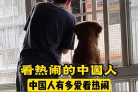 一生好奇的中国人到底有多爱看热闹#看热闹  #搞笑视频封面
