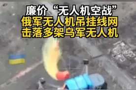 廉价“无人机空战”俄军无人机吊挂线网击落多架乌军无人机 #俄乌冲突 #俄军无人机 #无人机空战  #缠绕 #击落无人机视频封面