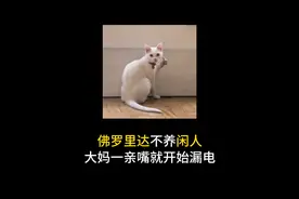 大妈一亲嘴就开始漏电 ！视频封面