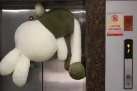狗绳一定要牵好 #电梯安全 #遛狗牵绳视频封面