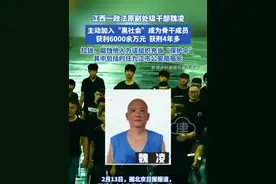 江西一政法原副处级干部魏凌 主动加入“黑社会”成为骨干成员，获利6000余万元  获刑4年多，拉拢、腐蚀他人为该组织充当“保护伞”其中包括时任九江市公安局局长#江西 #政法干部 #贪污腐败的案例心得体会 #保护伞视频封面