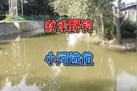 秋季小河道鱼情差，选位上需要注意，容易堆积食物的地方更聚鱼视频封面