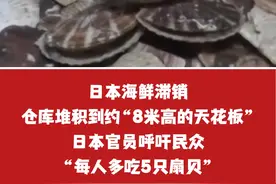 日本海鲜滞销，仓库堆积到约“8米高的天花板”，日本官员呼吁民众“每人多吃5只扇贝”（来源：央视财经）#日本 #核污水 #日本海鲜视频封面