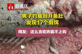 #男子钓鱼剖开鱼肚发现17个假饵，网友：这么贪吃咋能不上钩视频封面