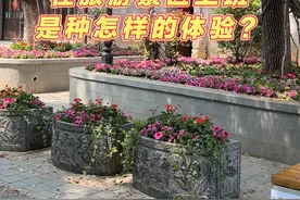 在武汉的百年老街昙华林上班是种怎样的体验？#马应龙 #马应龙昙华林体验店 #武汉旅游视频封面