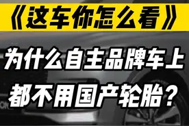 哪个轮胎品牌最靠谱？#轮胎 #米其林轮胎 #邓禄普轮胎 #韩泰轮胎 #固特异轮胎 #普利司通轮胎 #马牌轮胎 #倍耐力轮胎视频封面