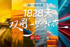 1828天，携手向前！AI视频一镜到底看“双圈”一路生花硕果累累视频封面