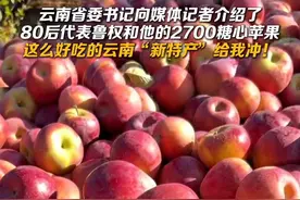 云南省委书记向媒体记者介绍了80后代表鲁权和他的2700糖心苹果，这么好吃的云南“新特产”给我冲！#来云南旅居吧  #有一种叫云南的生活    #美好生活在云南视频封面
