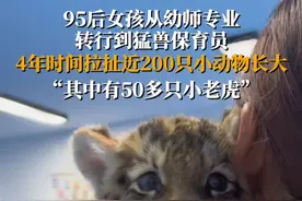 95后女孩从幼师专业转行到猛兽保育员，4年时间拉扯200个小动物长大：“其中有50多只小老虎”#95后女生的工作是带薪撸小老虎视频封面