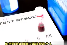 手机上怎么查个人血型 #it  #科技  #手机上怎么查个人血型