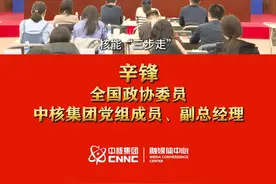 #两会核声 核能“三步走”战略对保障国家能源安全有重要意义！#两会 #能源视频封面