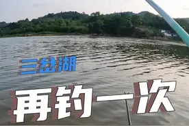 三岔湖的鲤鱼，都这么大吗？ #2024dou来钓鱼 #原来钓鱼才是抖音运动顶流 #渔之源 #渔之源小蜻蜓至轻鲤  #老坛甜薯视频封面