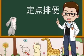 如何训练兔子定点排便？如何让兔子定点上厕所？兔子乱拉乱尿怎么办？#宠物兔 #宠物兔子 #宠物兔子的日常 #大叔手把手教你养宠物兔视频封面