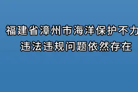 #典型案例 福建省漳州市海洋保护不力 违法违规问题依然存在视频封面