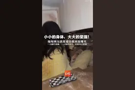 小小的身体，大大的坚强！缅甸两女孩废墟自救画面曝光  一人敲打高喊，一人保持体力，目前均已获救视频封面
