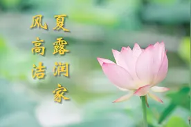 今日立夏！淮安市纪委监委发布《夏露润家风高洁》！视频封面