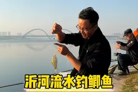 沂河流水钓鲫鱼 #2024dou来钓鱼 #dou是钓鱼人视频封面