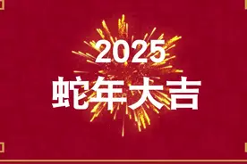 简洁喜庆2025蛇年春节祝福节日快闪 #2025 #蛇年 #春节 #祝福视频封面