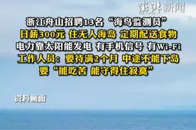 浙江舟山招聘13名“海鸟监测员”，日薪300元，住无人海岛，定期配送食物，电力靠太阳能发电，有手机信号、有Wi-Fi，工作人员：要待满2个月，中途不能下岛，要“能吃苦，能守得住寂寞”视频封面