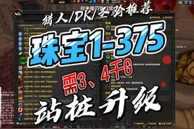 魔兽世界WLK怀旧服珠宝加工1-375极速站桩升级猎人必学